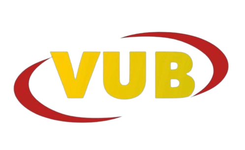 vub-group.com